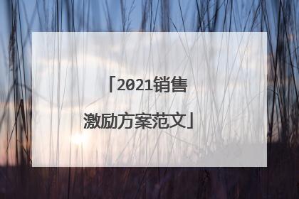 2021销售激励方案范文
