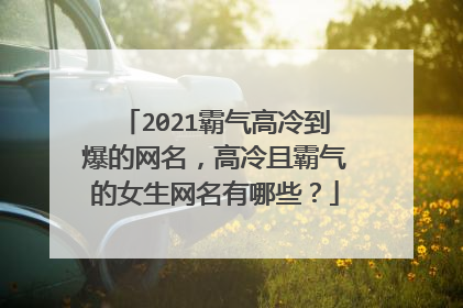 2021霸气高冷到爆的网名,高冷且霸气的女生网名有哪些?