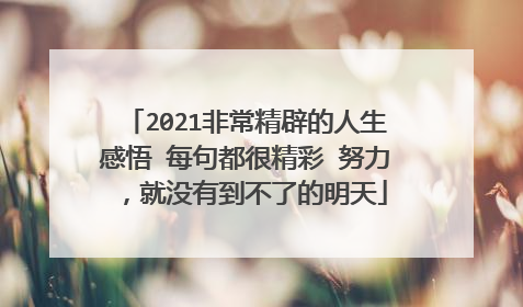 2021非常精辟的人生感悟 每句都很精彩 努力,就没有到不了的明天