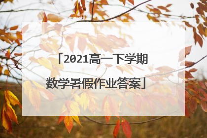2021高一下学期数学暑假作业答案