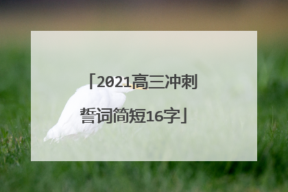 2021高三冲刺誓词简短16字