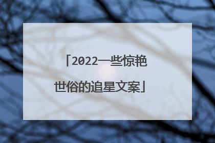 2022一些惊艳世俗的追星文案
