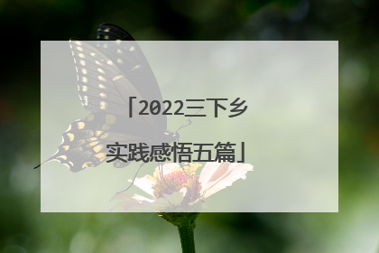 2022三下乡实践感悟五篇