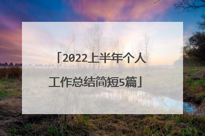 2022上半年个人工作总结简短5篇