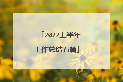 2022上半年工作总结五篇