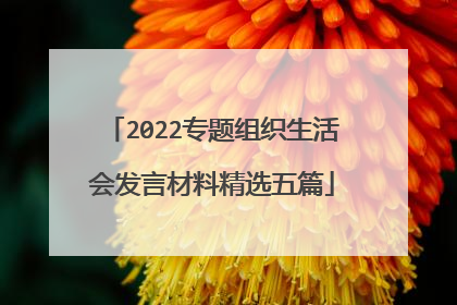 2022专题组织生活会发言材料精选五篇