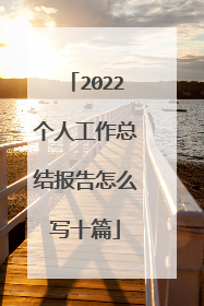 2022个人工作总结报告怎么写十篇