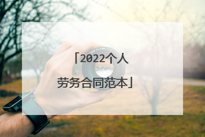 2022个人劳务合同范本