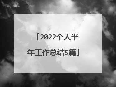 2022个人半年工作总结5篇