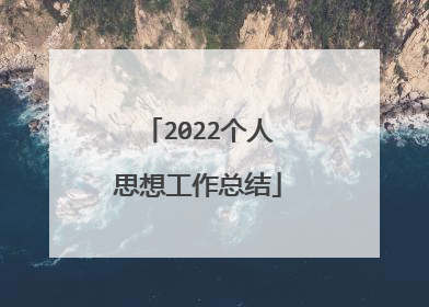 2022个人思想工作总结