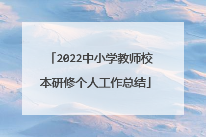 2022中小学教师校本研修个人工作总结