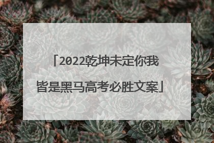 2022乾坤未定你我皆是黑马高考必胜文案