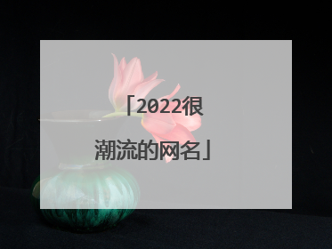 2022很潮流的网名