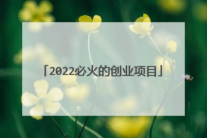 2022必火的创业项目