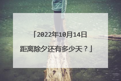 2022年10月14日距离除夕还有多少天？