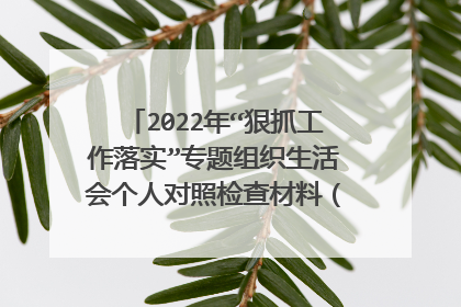 2022年“狠抓工作落实”专题组织生活会个人对照检查材料(全文2918字)