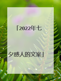 2022年七夕感人的文案