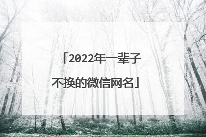 2022年一辈子不换的微信网名