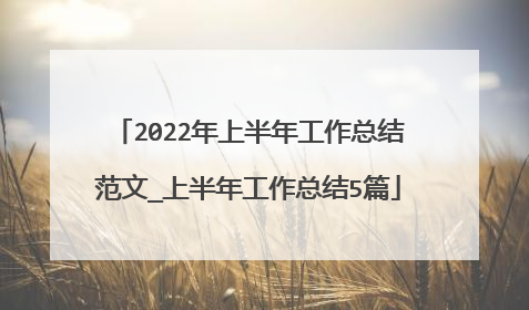 2022年上半年工作总结范文_上半年工作总结5篇