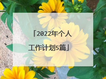 2022年个人工作计划5篇