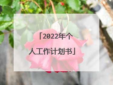 2022年个人工作计划书