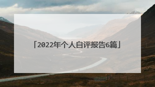 2022年个人自评报告6篇