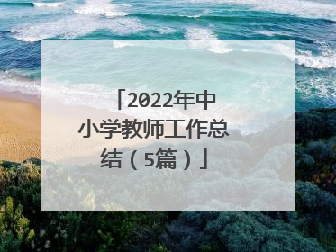 2022年中小学教师工作总结(5篇)