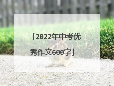 2022年中考优秀作文600字