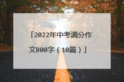 2022年中考满分作文800字（10篇）