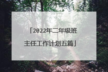 2022年二年级班主任工作计划五篇