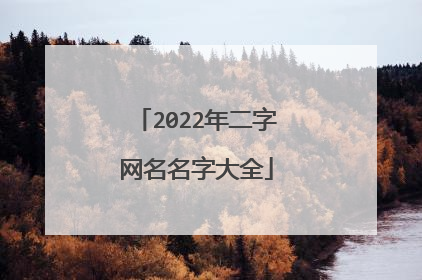 2022年二字网名名字大全