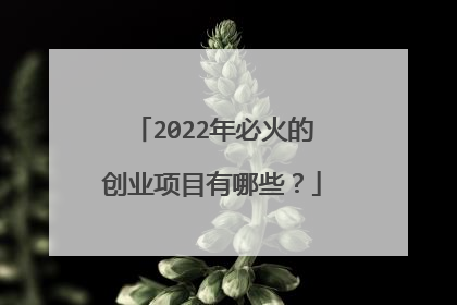 2022年必火的创业项目有哪些?