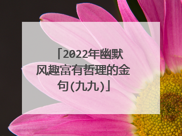2022年幽默风趣富有哲理的金句(九九)
