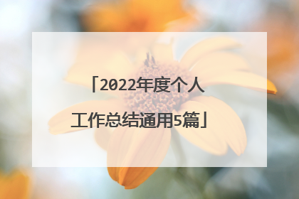 2022年度个人工作总结通用5篇