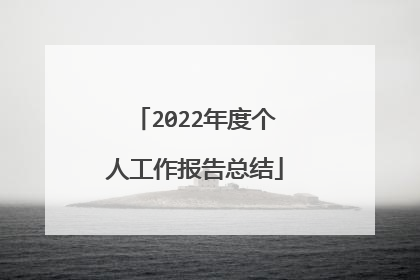 2022年度个人工作报告总结
