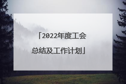 2022年度工会总结及工作计划