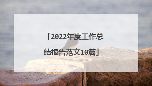 2022年度工作总结报告范文10篇