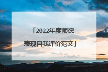 2022年度师德表现自我评价范文