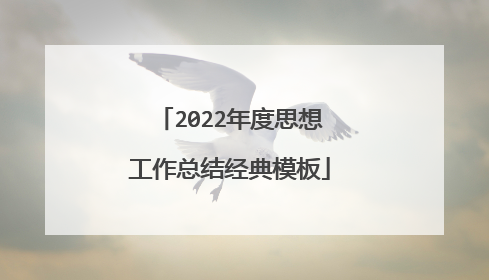 2022年度思想工作总结经典模板