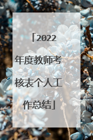 2022年度教师考核表个人工作总结