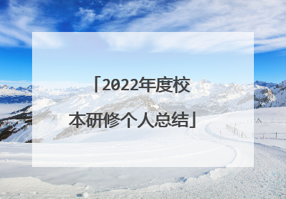 2022年度校本研修个人总结