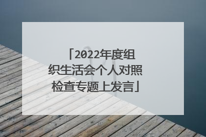2022年度组织生活会个人对照检查专题上发言