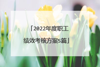 2022年度职工绩效考核方案5篇