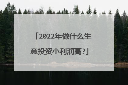 2022年做什么生意投资小利润高?
