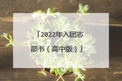 2022年入团志愿书（高中版）