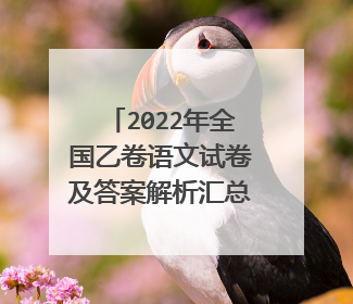 2022年全国乙卷语文试卷及答案解析汇总(已更新）