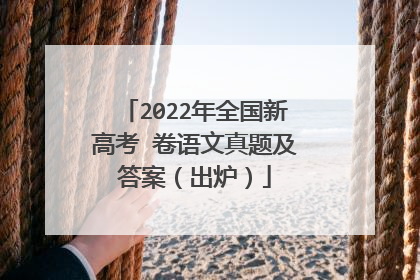 2022年全国新高考Ⅰ卷语文真题及答案(出炉)