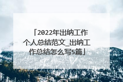2022年出纳工作个人总结范文_出纳工作总结怎么写5篇