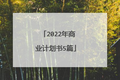 2022年商业计划书5篇