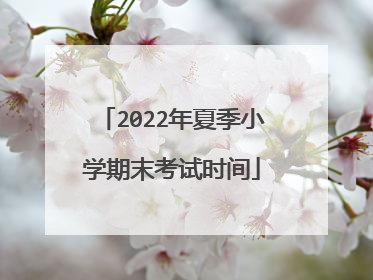 2022年夏季小学期末考试时间